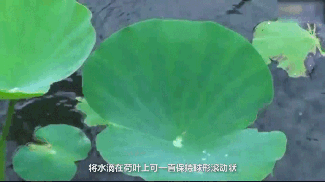 無錫不銹鋼板價(jià)格,201不銹鋼,無錫不銹鋼,304不銹鋼板,321不銹鋼板,316L不銹鋼板,無錫不銹鋼板 無錫不銹鋼板價(jià)格,201不銹鋼,無錫不銹鋼,304不銹鋼板,321不銹鋼板,316L不銹鋼板,無錫不銹鋼板